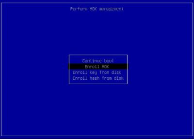 Choose Enroll MOK